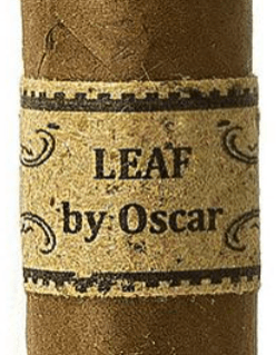 Leaf by Oscar Sumatra