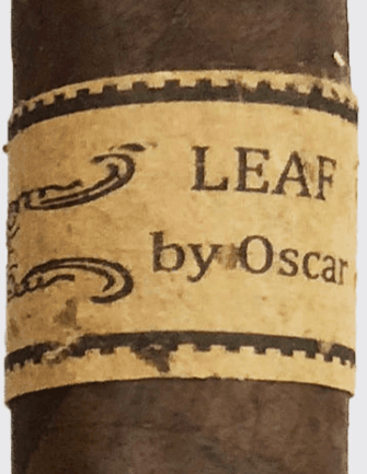 Leaf By Oscar Maduro