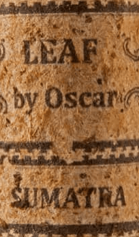 Oscar Leaf Sumatra