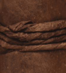 CAO Amazon Basin