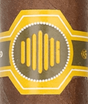 Warped La Colmena Black Honey