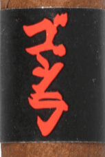 Viaje Gojira
