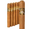 5 Vegas Gold (Pack of 5)