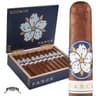 Room 101 Farce Maduro (Box of 20)