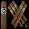 Warped Flor Del Valle (Box of 25)