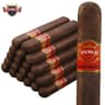 Punch Rare Corojo (Pack of 50)
