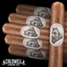 Caldwell Eastern Standard (Pack of 5)