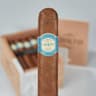 Warped Corto (Box of 25)