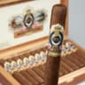Ashton ESG (Box of 25)