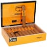 Camacho Connecticut (Box of 20)