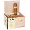 Nub Connecticut (Box of 24)