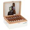 Alec & Bradley Blind Faith (Box of 24)