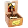 Acid Yellow (Box of 24)