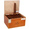 Gran Habano Persian King Maduro (Pack of 50)