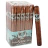 Asylum Schizo Maduro (Bundle of 20)