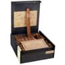Kristoff Criollo (Box of 20)