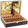 La Palina Nicaragua Oscuro (Single)