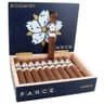 Room 101 The Farce Maduro (Single)
