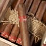 Diesel Cigars Unlimited (Pack of 5)