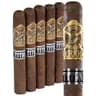 Gurkha Titan (Pack of 5)