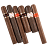 Cain Splendid Six Sampler (Sampler of 6)