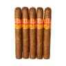 Punch Gran Puro (Pack of 5)