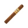 Casa Magna Colorado (Box of 20)
