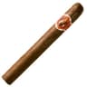 Avo XO (Box of 20)