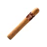 Asylum 13 Corojo (Pack of 50)