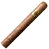 Trinidad y Cia (Bundle of 20)