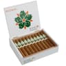 Room101 Miami Snow (Box of 20)
