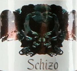 Asylum Schizo