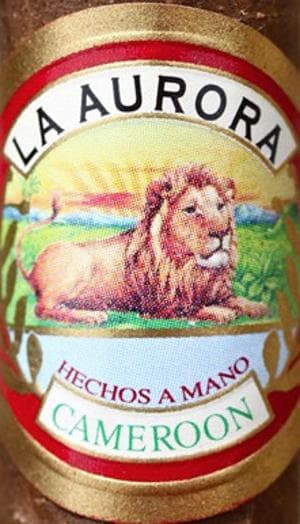 La Aurora Cameroon