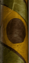 Cigar Bundles of Miami Black Dot